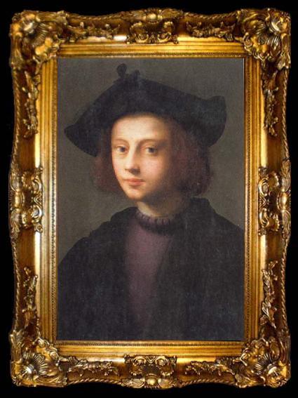 framed  PULIGO, Domenico Portrait of Piero Carnesecchi, ta009-2